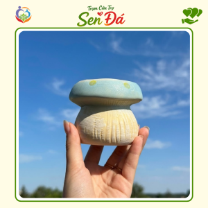 Chậu Gốm Mini Hình Nấm Xanh Dương