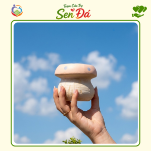 Chậu Gốm Mini Hình Nấm Hồng