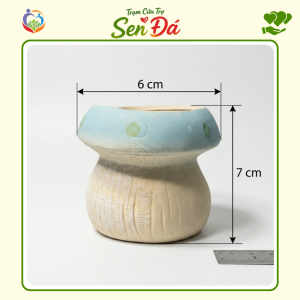 Chậu Gốm Mini Hình Nấm Xanh Dương