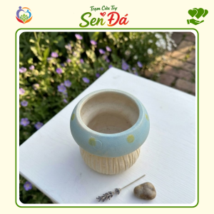 Chậu Gốm Mini Hình Nấm Xanh Dương
