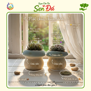 Chậu Gốm Mini Hình Nấm