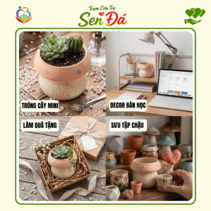 Chậu Gốm Mini Hình Nấm