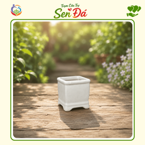Chậu Gốm Mini Hình Vuông Tráng Men