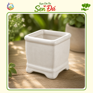 Chậu Gốm Mini Hình Vuông Tráng Men