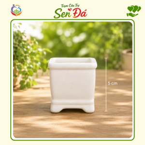 Chậu Gốm Mini Hình Vuông Tráng Men