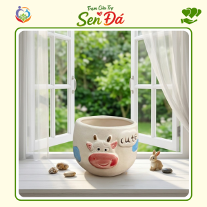 Chậu Gốm Mini Hình Bò