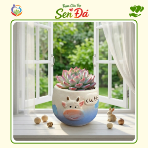 Chậu Gốm Mini Hình Bò