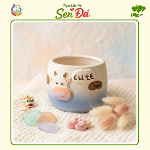 Chậu Gốm Mini Hình Bò Xanh Dương