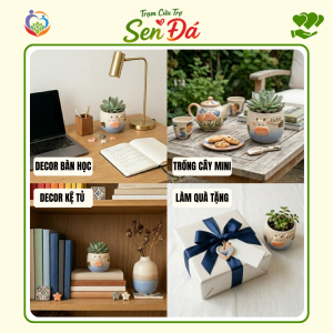 Chậu Gốm Mini Hình Bò