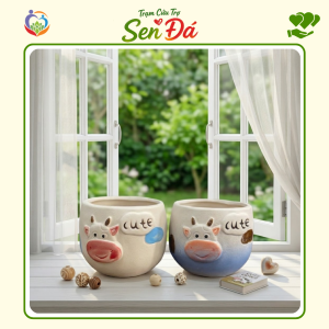 Chậu Gốm Mini Hình Bò