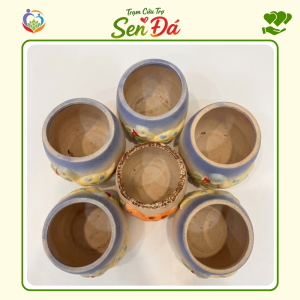 Chậu Gốm Mini Hình Khủng Long