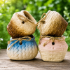 Chậu Gốm Mini Hình Giỏ Nơ