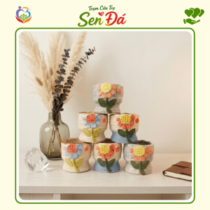 Chậu Gốm Mini Hình Hoa Hướng Dương