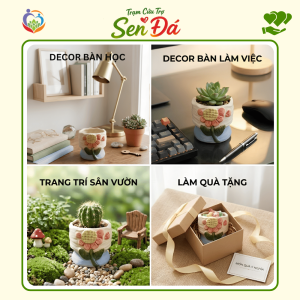 Chậu Gốm Mini Hình Hoa Hướng Dương