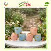 Chậu Gốm Mini Hình Lợn Vịt