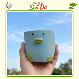 Chậu Gốm Mini Hình Lợn Vịt