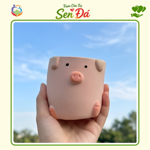 Chậu Gốm Mini Hình Lợn Vịt