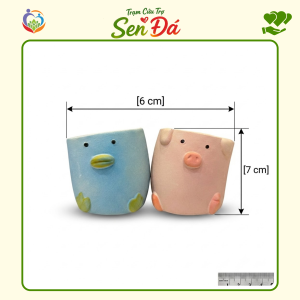 Chậu Gốm Mini Hình Lợn Vịt