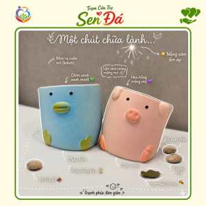 Chậu Gốm Mini Hình Lợn Vịt
