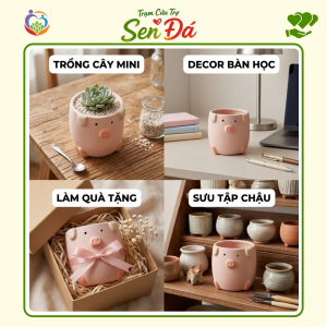 Chậu Gốm Mini Hình Lợn Vịt