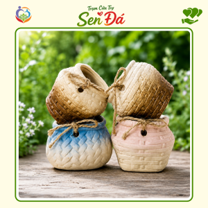 Chậu Gốm Mini Hình Giỏ Nơ