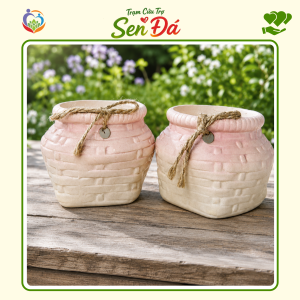 Chậu Gốm Mini Hình Giỏ Nơ