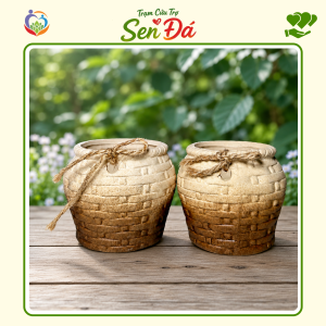 Chậu Gốm Mini Hình Giỏ Nơ