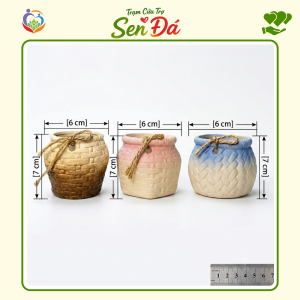 Chậu Gốm Mini Hình Giỏ Nơ