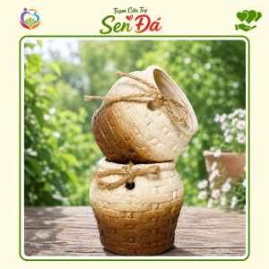 Chậu Gốm Mini Hình Giỏ Nơ