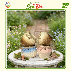 Chậu Gốm Mini Hình Giỏ Nơ