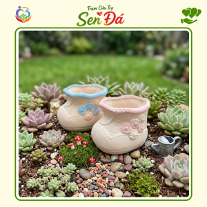 Chậu Gốm Mini Hình Giày