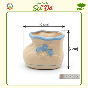 Chậu Gốm Mini Hình Giày