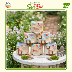 Chậu Gốm Mini Hình Nhà Vuông