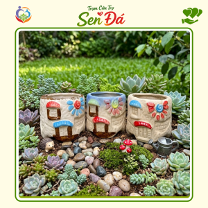 Chậu Gốm Mini Hình Nhà Vuông