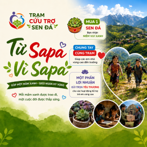 Trạm Cứu Trợ Sen Đá
