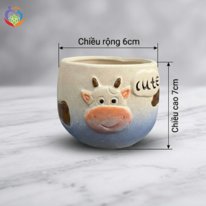chọn chậu gốm theo kích thước cây