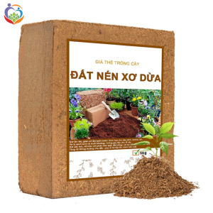 giá thể xơ dừa