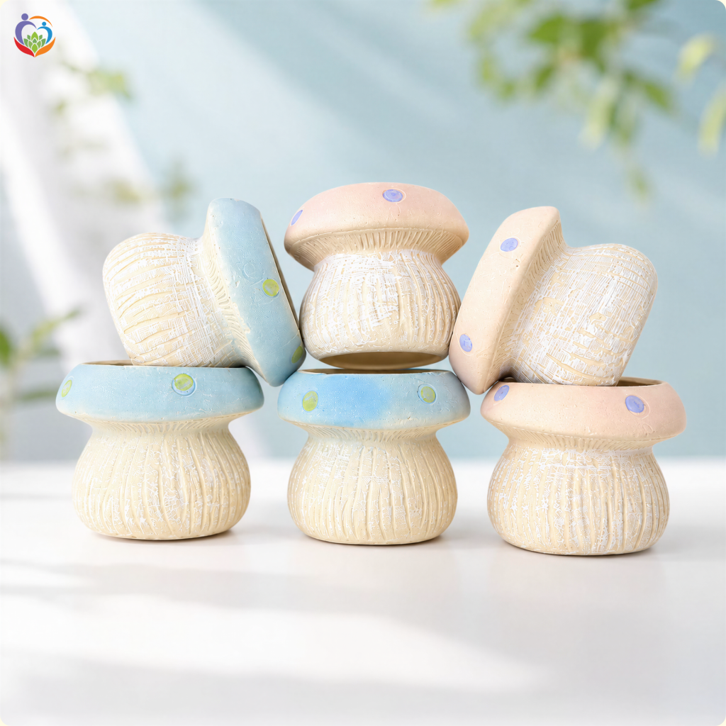 Chậu sen đá mini đẹp