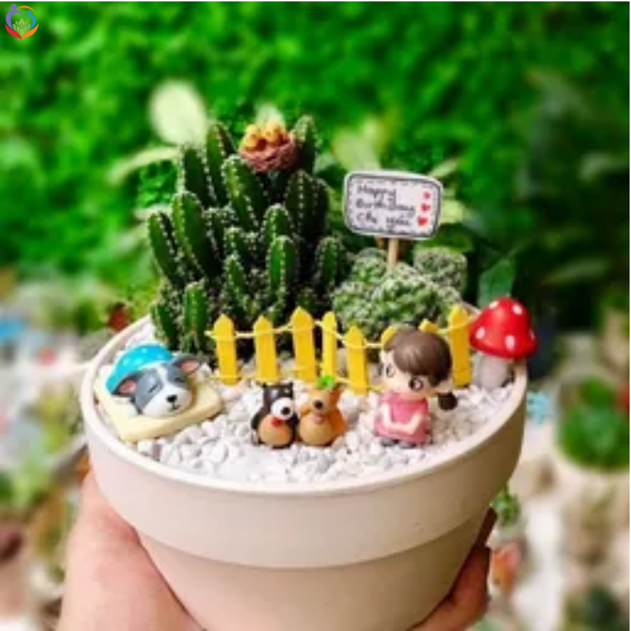 Chậu sen đá mini đẹp