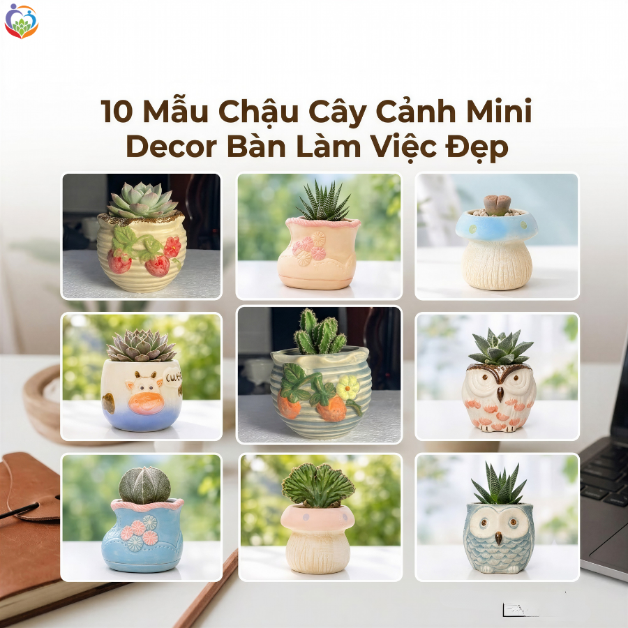 10 mẫu chậu cây cảnh đẹp
