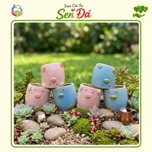 Chậu Gốm Mini Hình Lợn Vịt