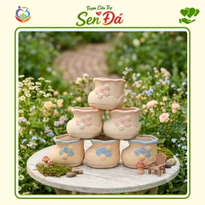 Chậu Gốm Mini Hình Giày