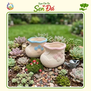 Chậu Gốm Mini Hình Giày